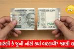 Torn Currency Notes