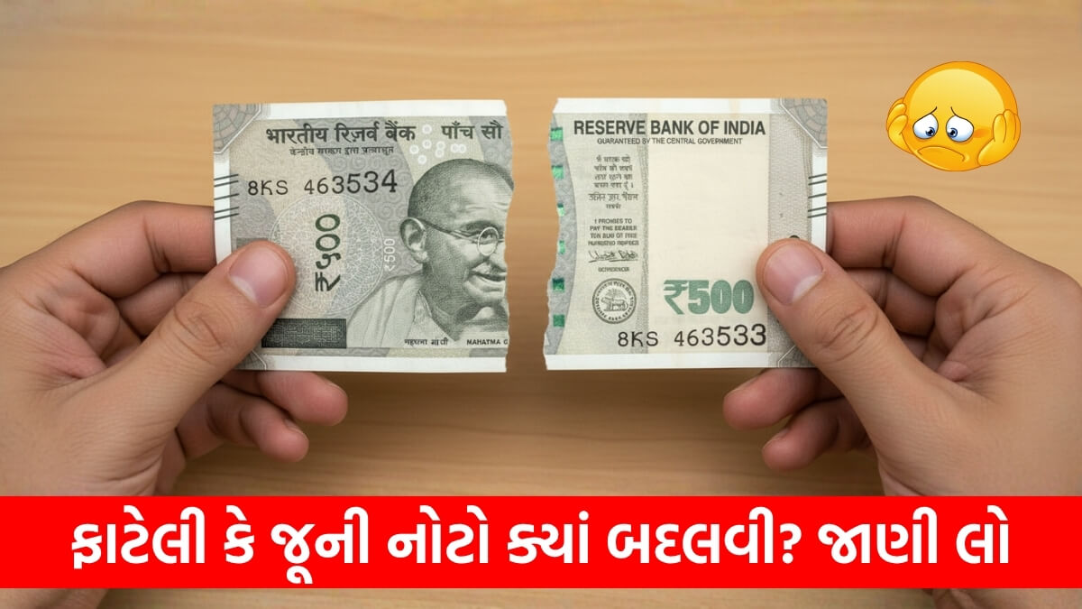 Torn Currency Notes